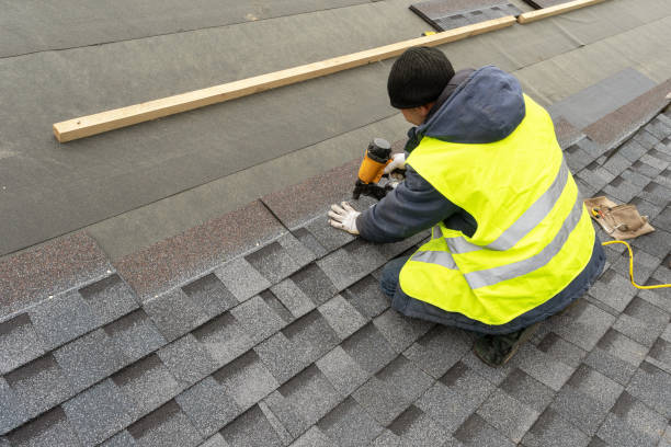 Best Roof Repair Services  in Minot Af, ND