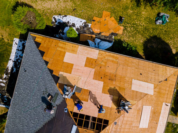 Best Shingle Roofing Installation  in Minot Af, ND