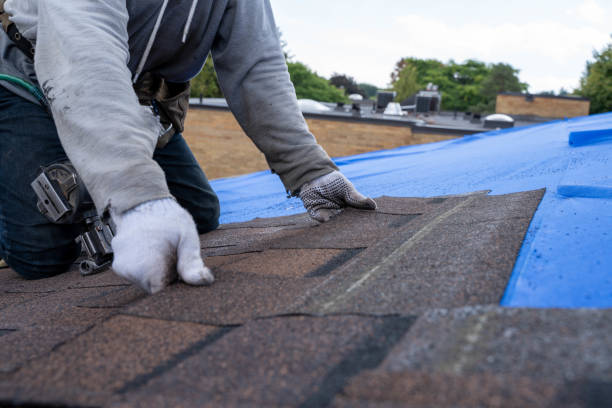 Best New Roof Installation  in Minot Af, ND