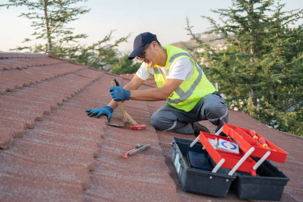 Best Commercial Roofing Services  in Minot Af, ND