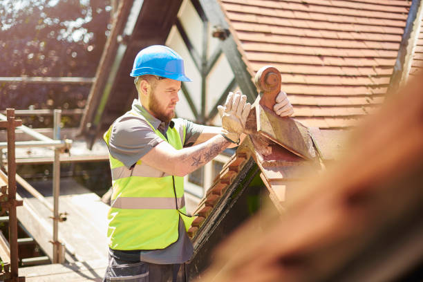 Best Flat Roof Repair Services  in Minot Af, ND