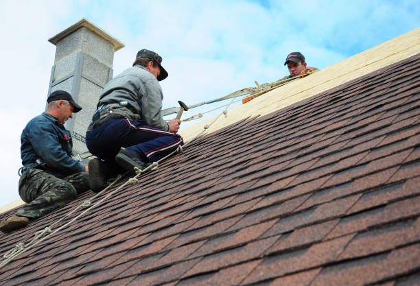 Best New Roof Installation  in Minot Af, ND