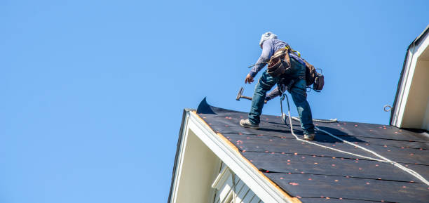 Best Local Roofing Companies  in Minot Af, ND